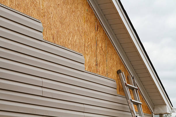 Professional Siding Repair technician working in Forest Park, IL